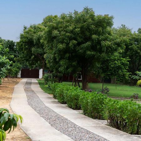 Stayvista At Idyllic Farmhouse - A Glasshouse With Outdoor Pool Gurgaon Ngoại thất bức ảnh