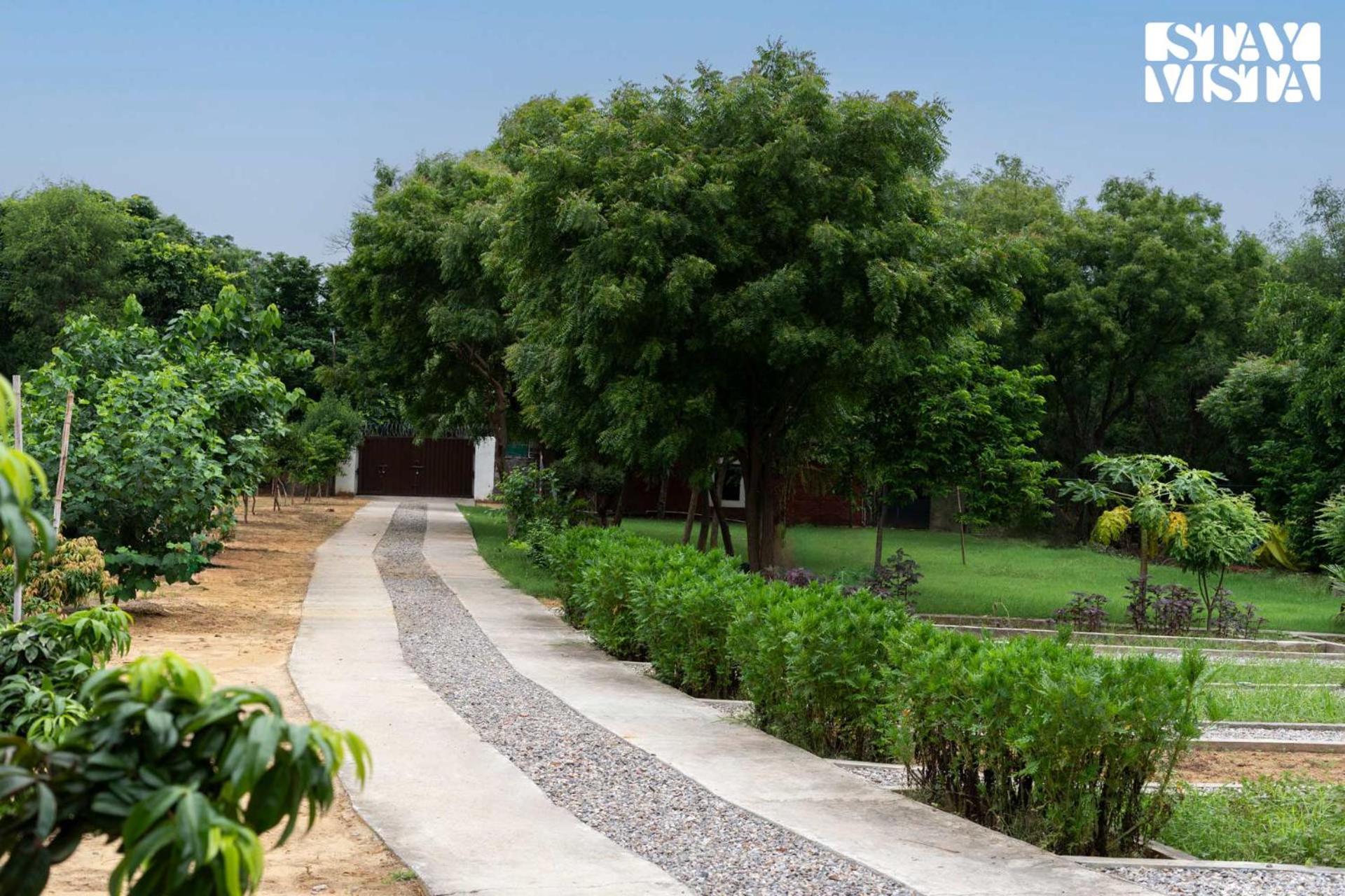 Stayvista At Idyllic Farmhouse - A Glasshouse With Outdoor Pool Gurgaon Ngoại thất bức ảnh